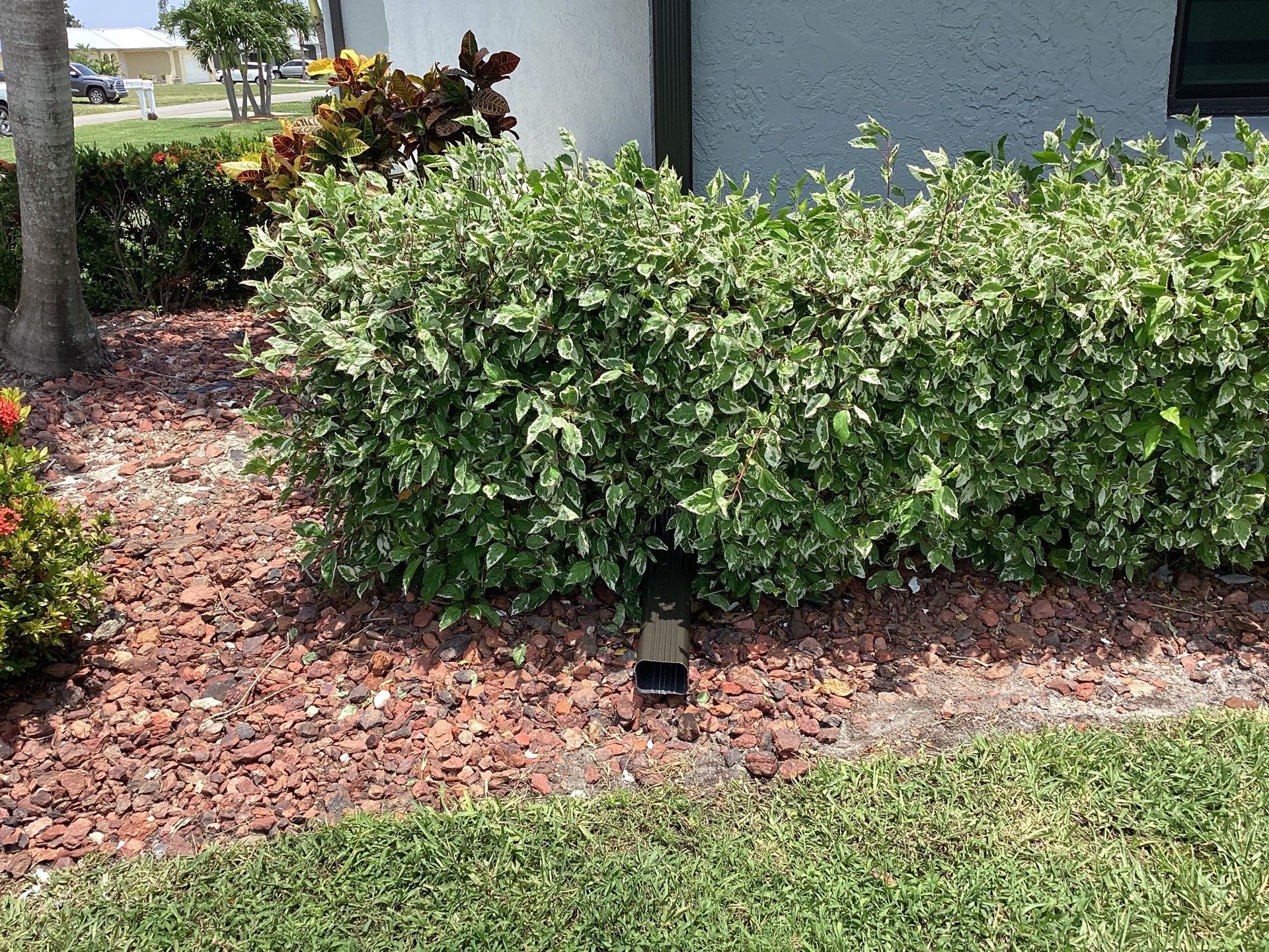 Bronze Seamless Gutters using 6 Inch Seamless Gutters in Cape Coral by Gutter Professors