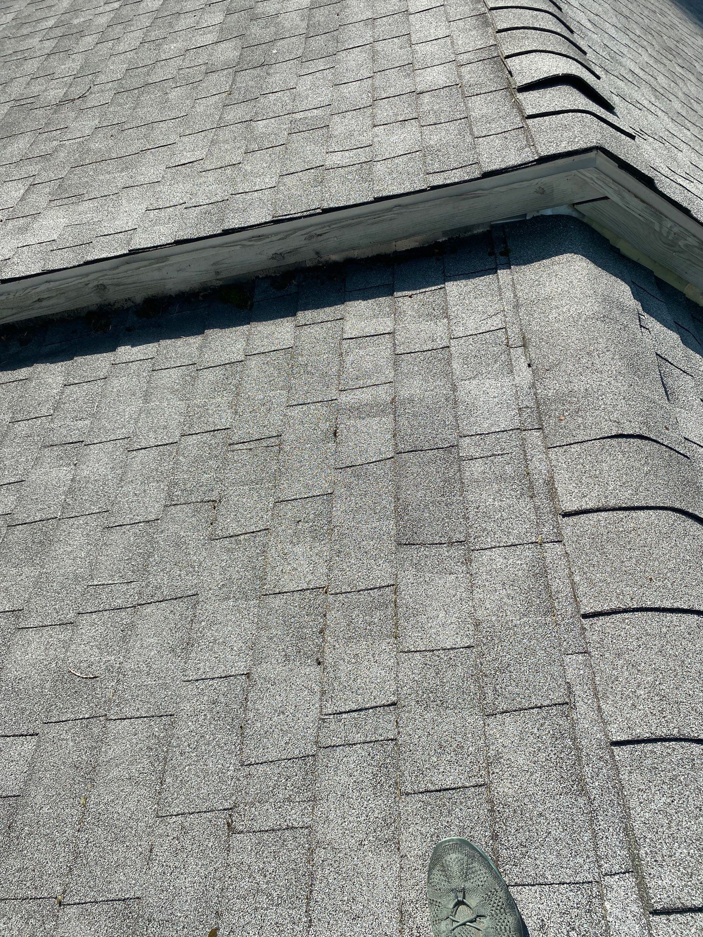 Siding Replacement by Mighty Dog Roofing of Greater Middlesex County