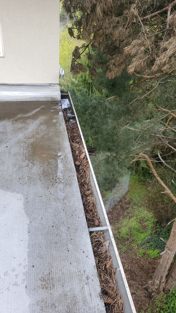Gutter Cleaning using Moderate Pressure by Willamette Outdoor Wash LLC