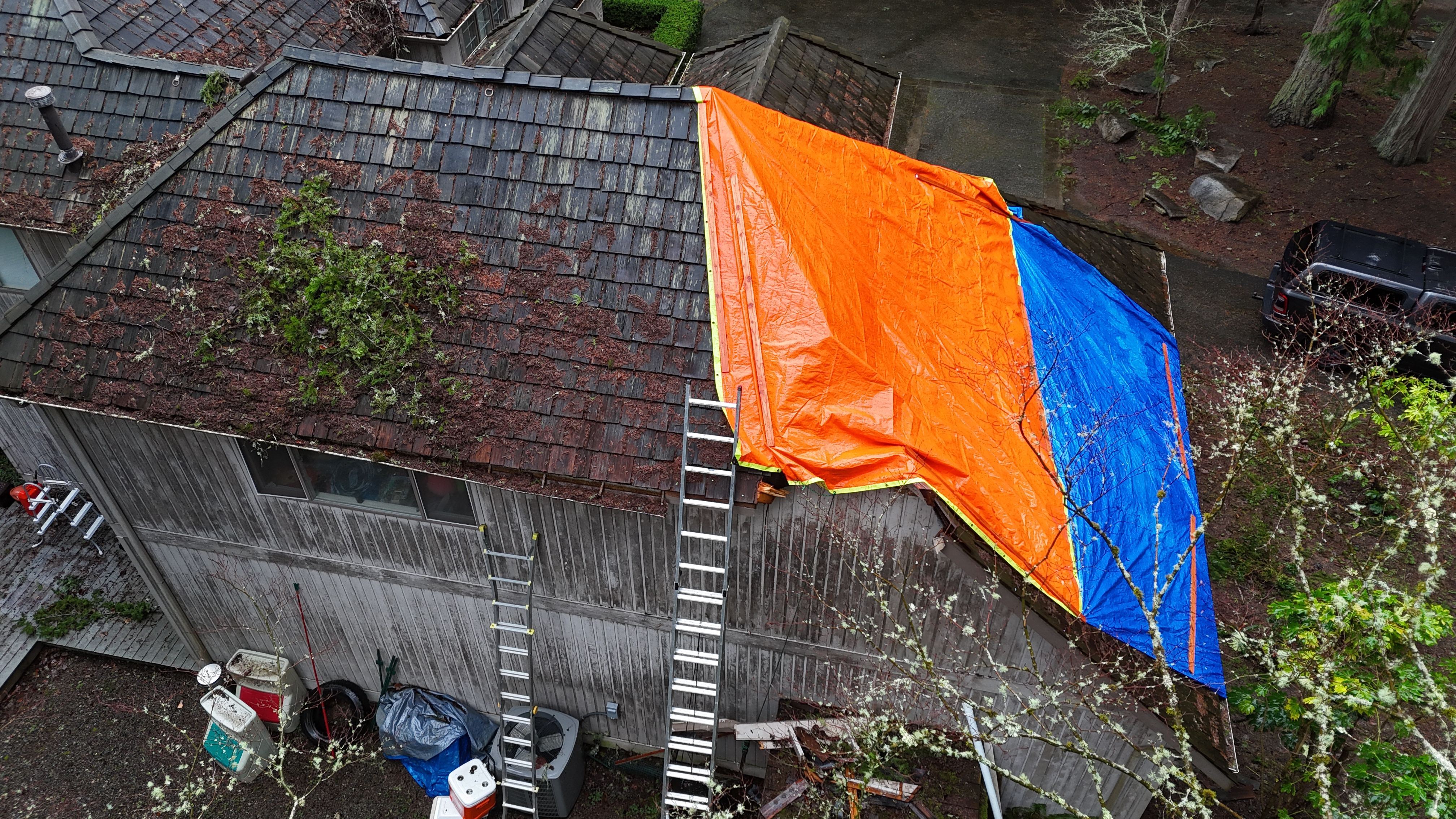 Tree Strike Repair - Issaquah by RoofSmart