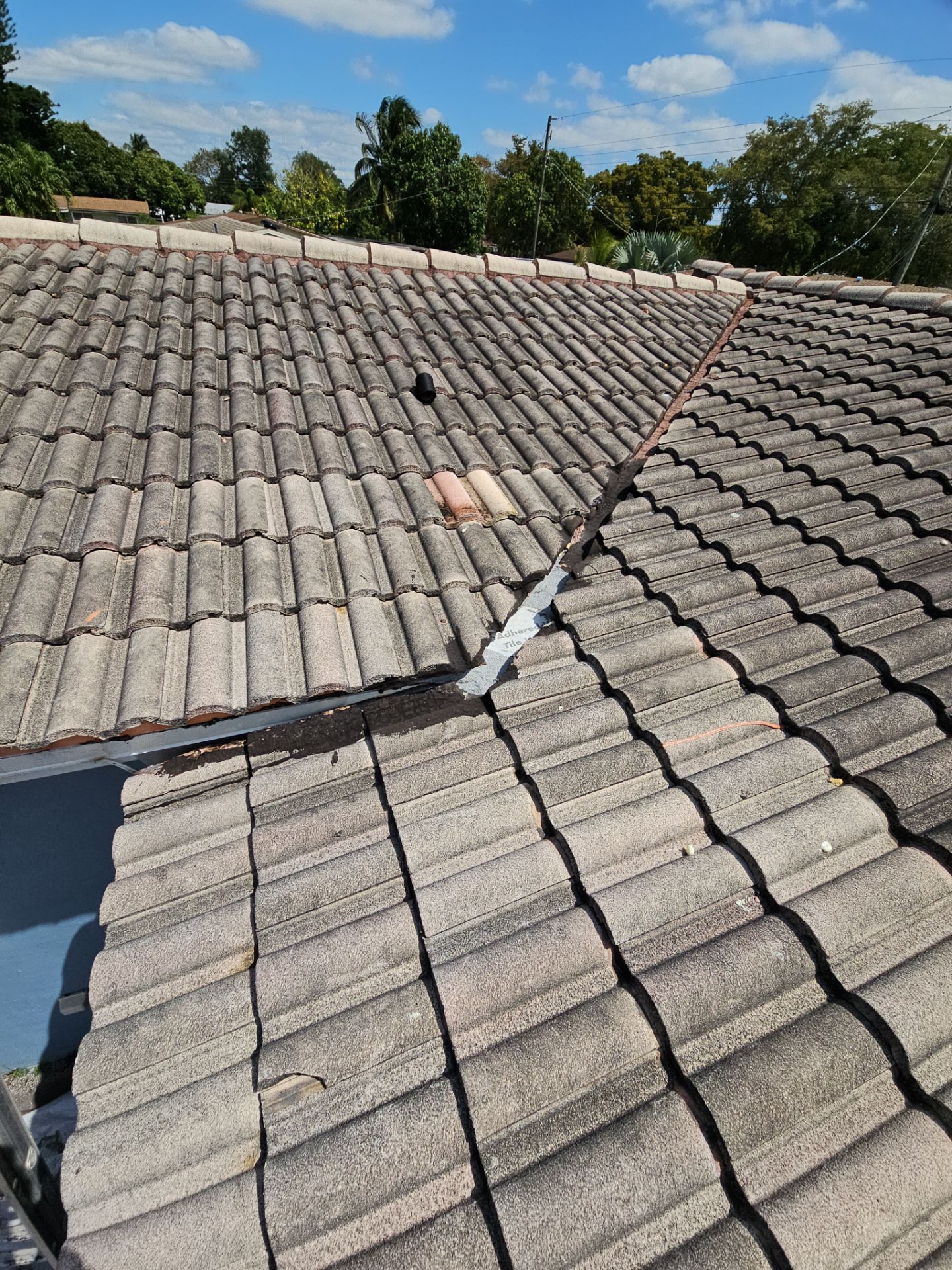 Project in Pembroke Pines