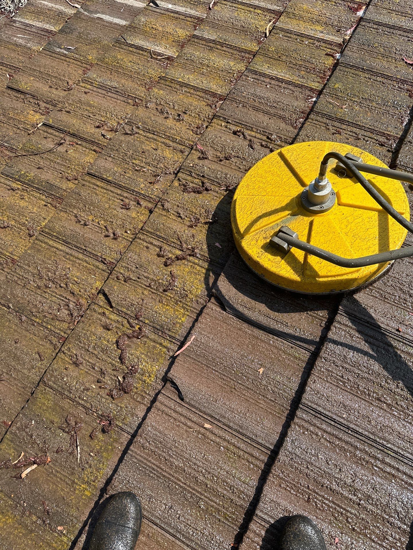 Orange County Roof Washing in Lake Forest by Property Cleaning Experts, LLC