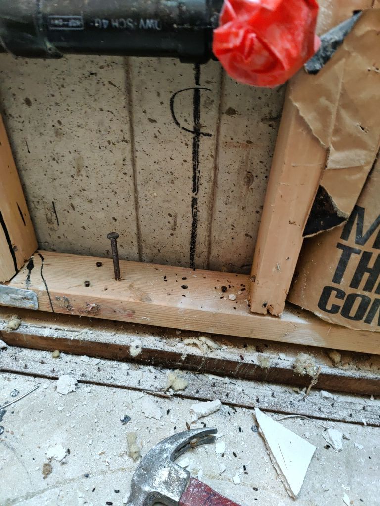 Mold Remediation by Accountable Home Services