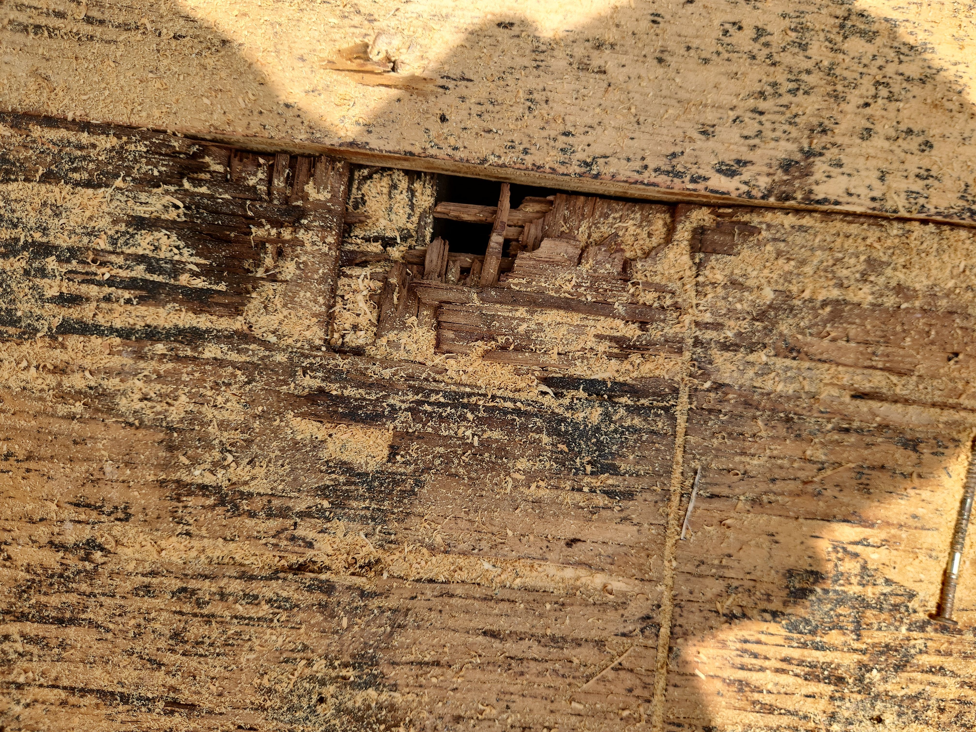 Clay Tile Roof Leak Repair and Sheathing Replacement in Hollywood by Aastro Roofing