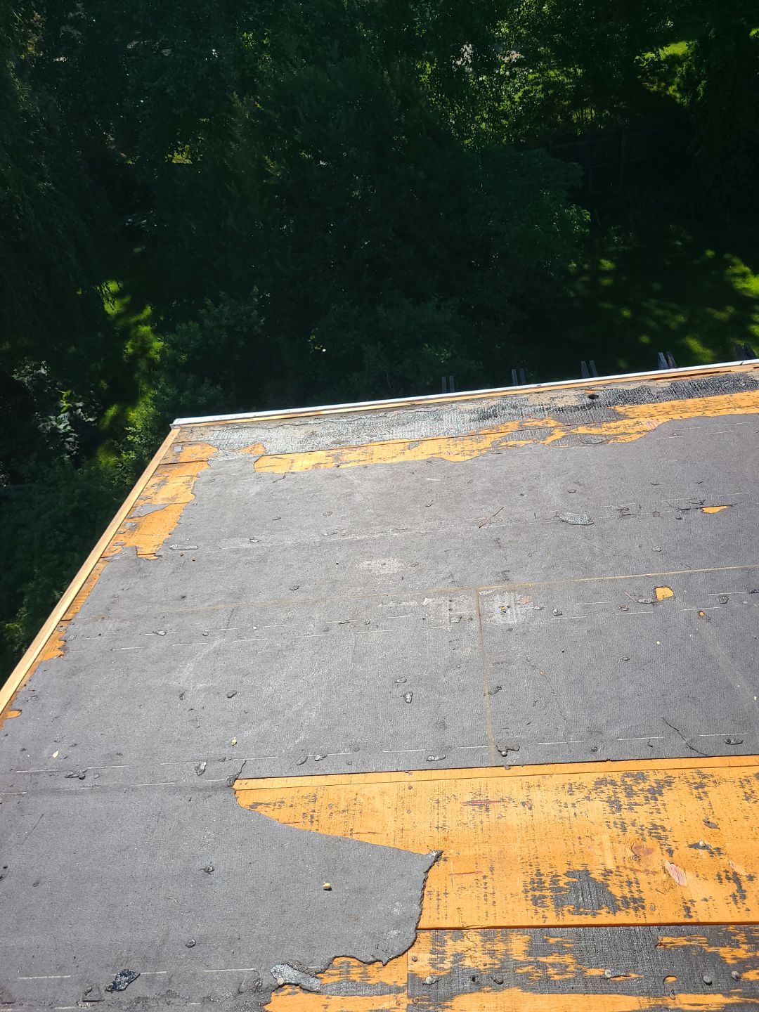 Alexandria: Mule Hide TPO Flat Roof by RM Banning, Inc.