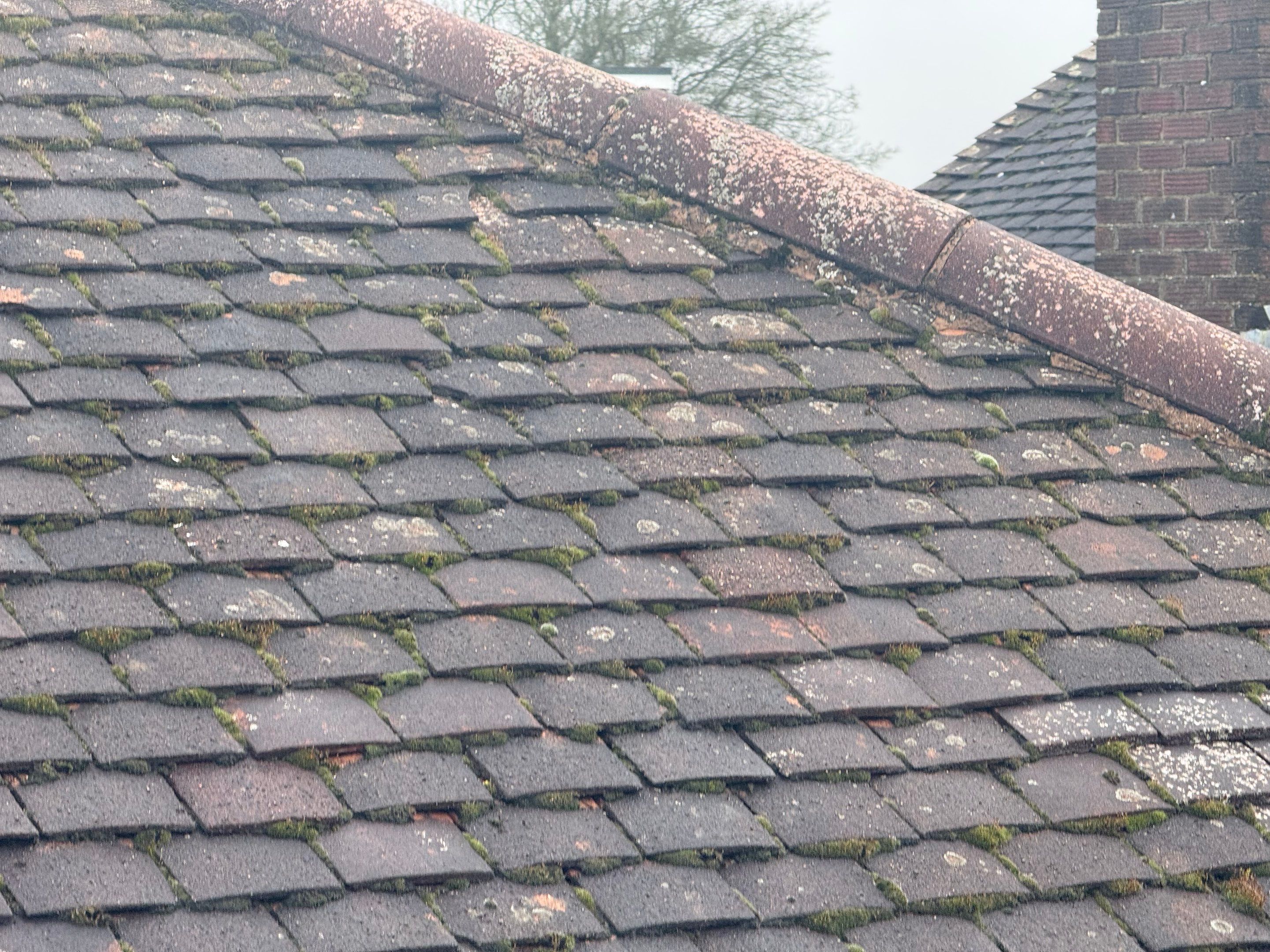 Roof Clean Epsom by Ges Exterior Cleaning ltd
