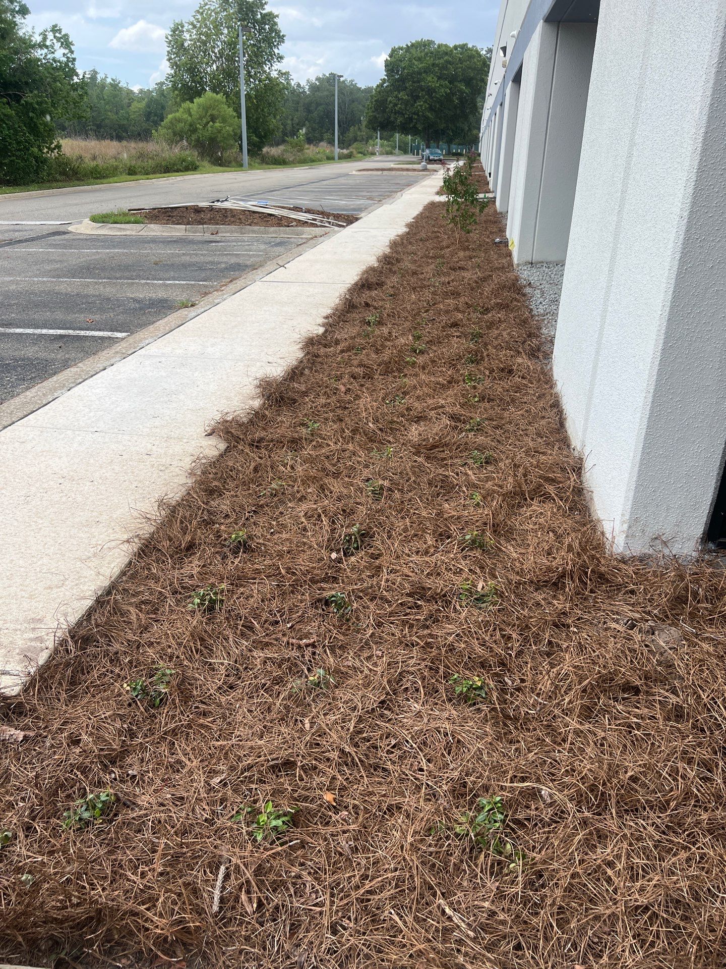 Large Landscape Project | Center Point by ProGreen Services