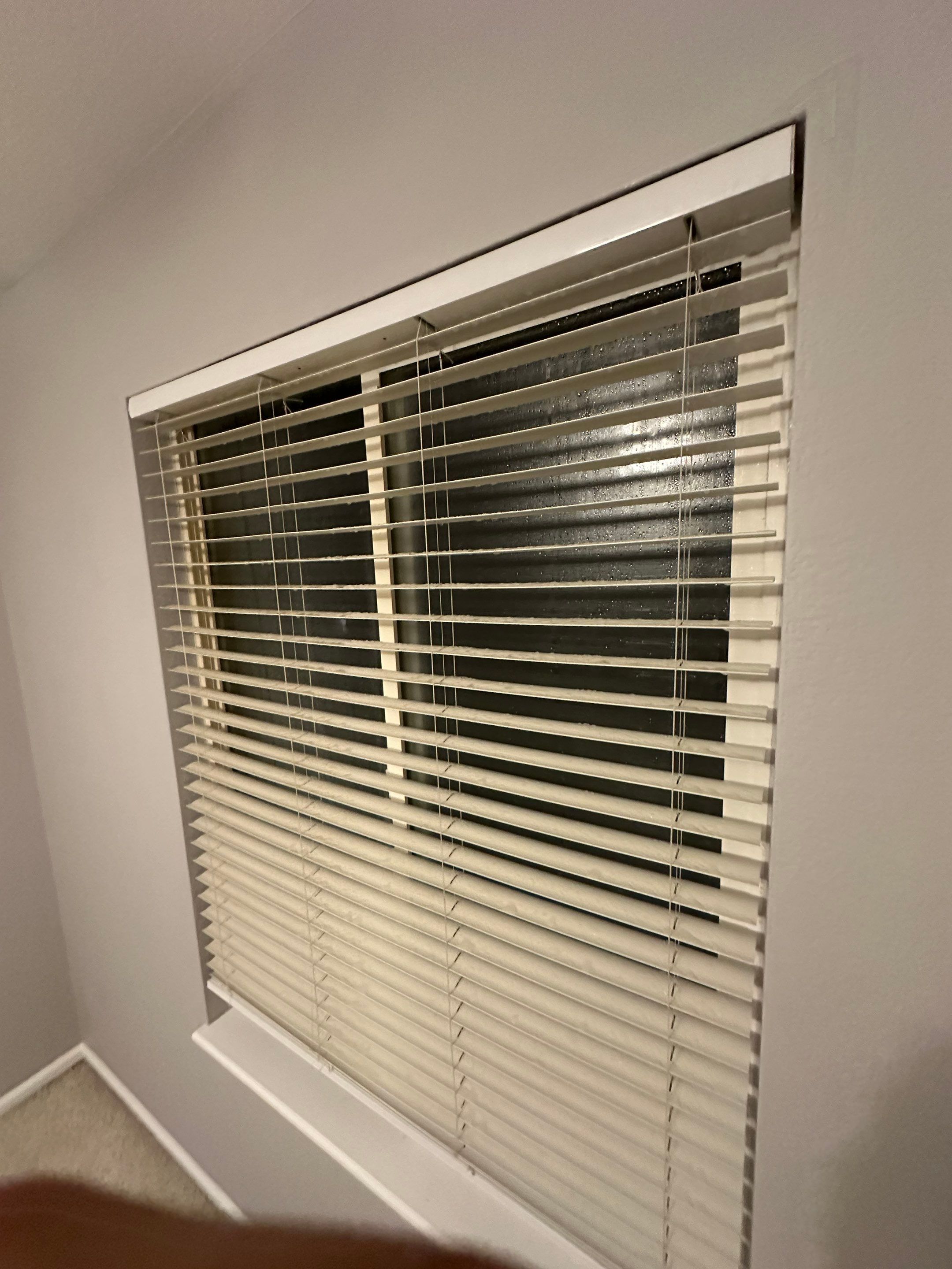 Water Damage in Highlands Ranch by Alpha Restoration 