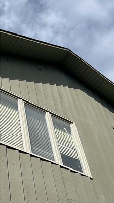 Project in Evergreen