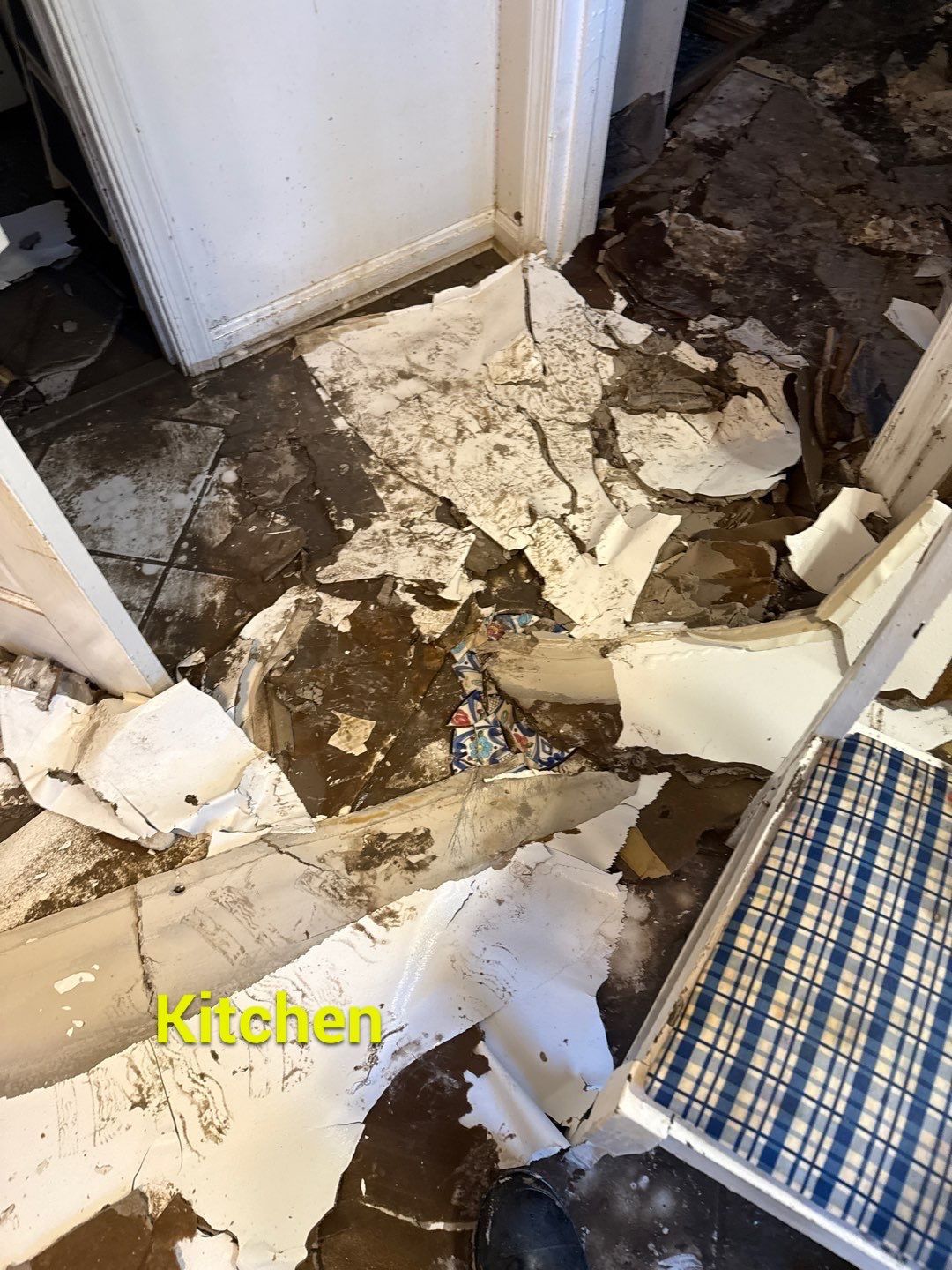 Large‑Loss Water Damage, Structural Drying & Mold Remediation – Rehoboth Beach, DE by Healthy Home Solutions