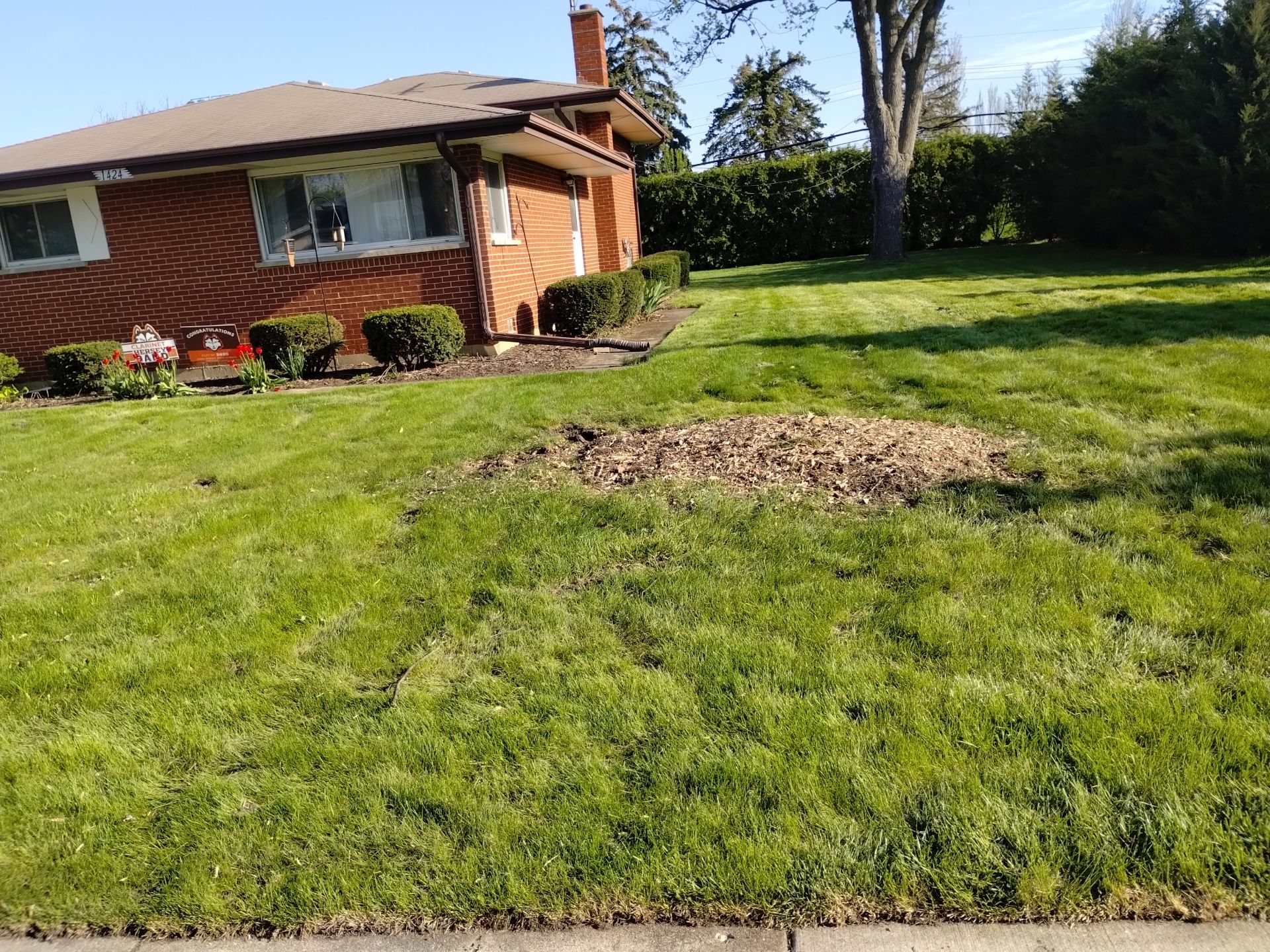 Martha C. - Mount Prospect, IL by A&N 