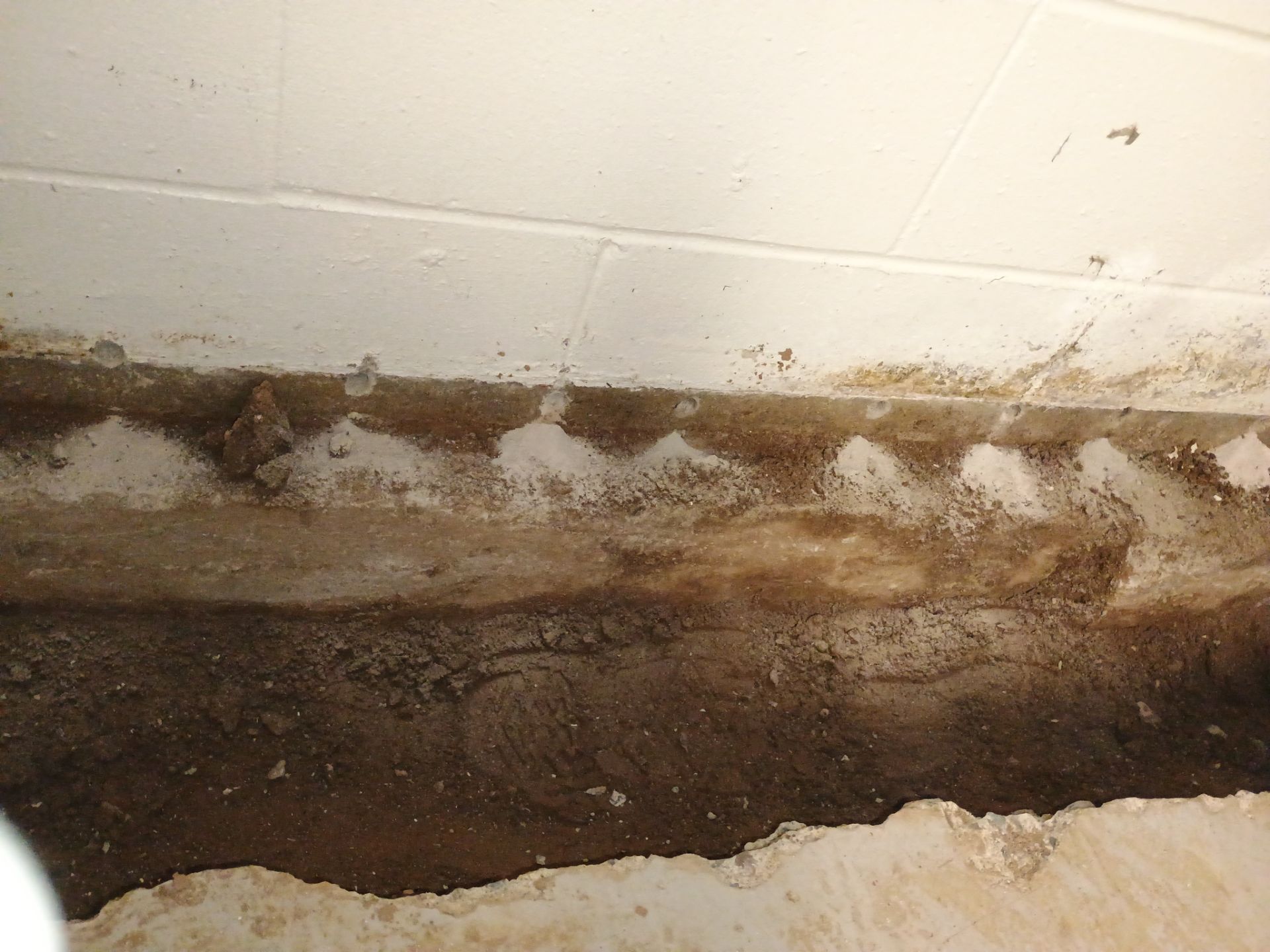 Helping Our Neighbor Gail by Waterproofing Northeast