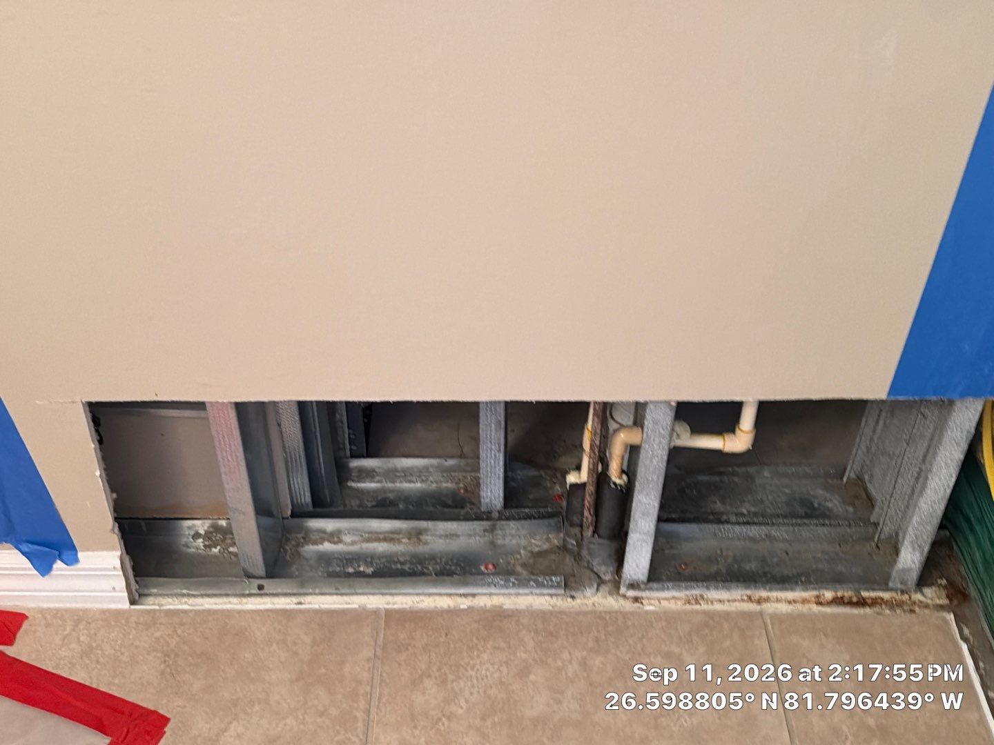 Fort Myers Water Damage Restoration and Professional Mold Remediation by Microscope