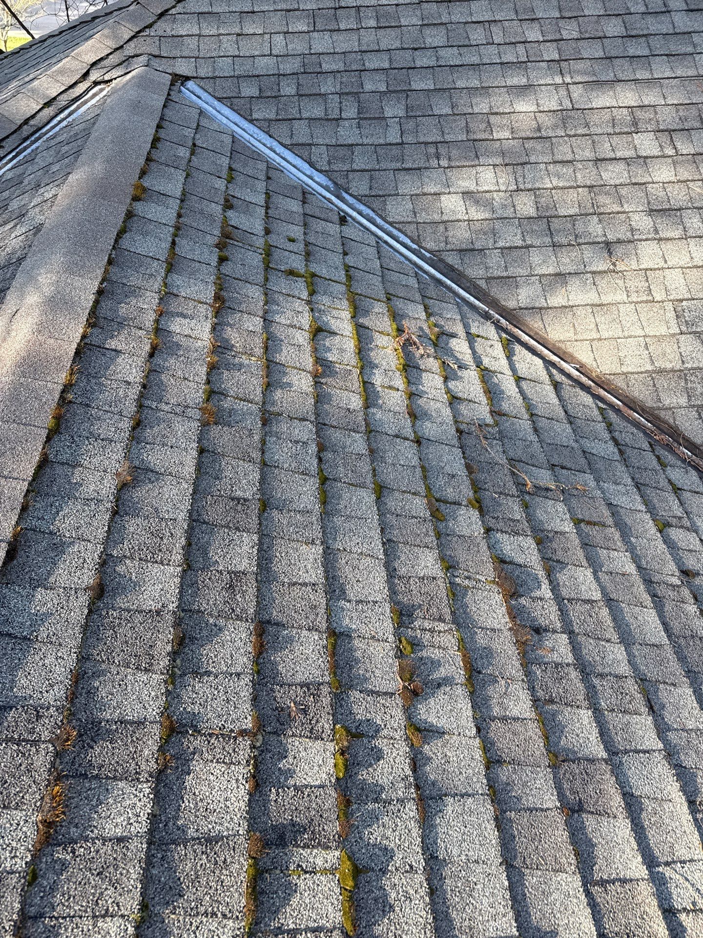 Owens Corning Roofing and REC solar panels by Byers Enterprises 