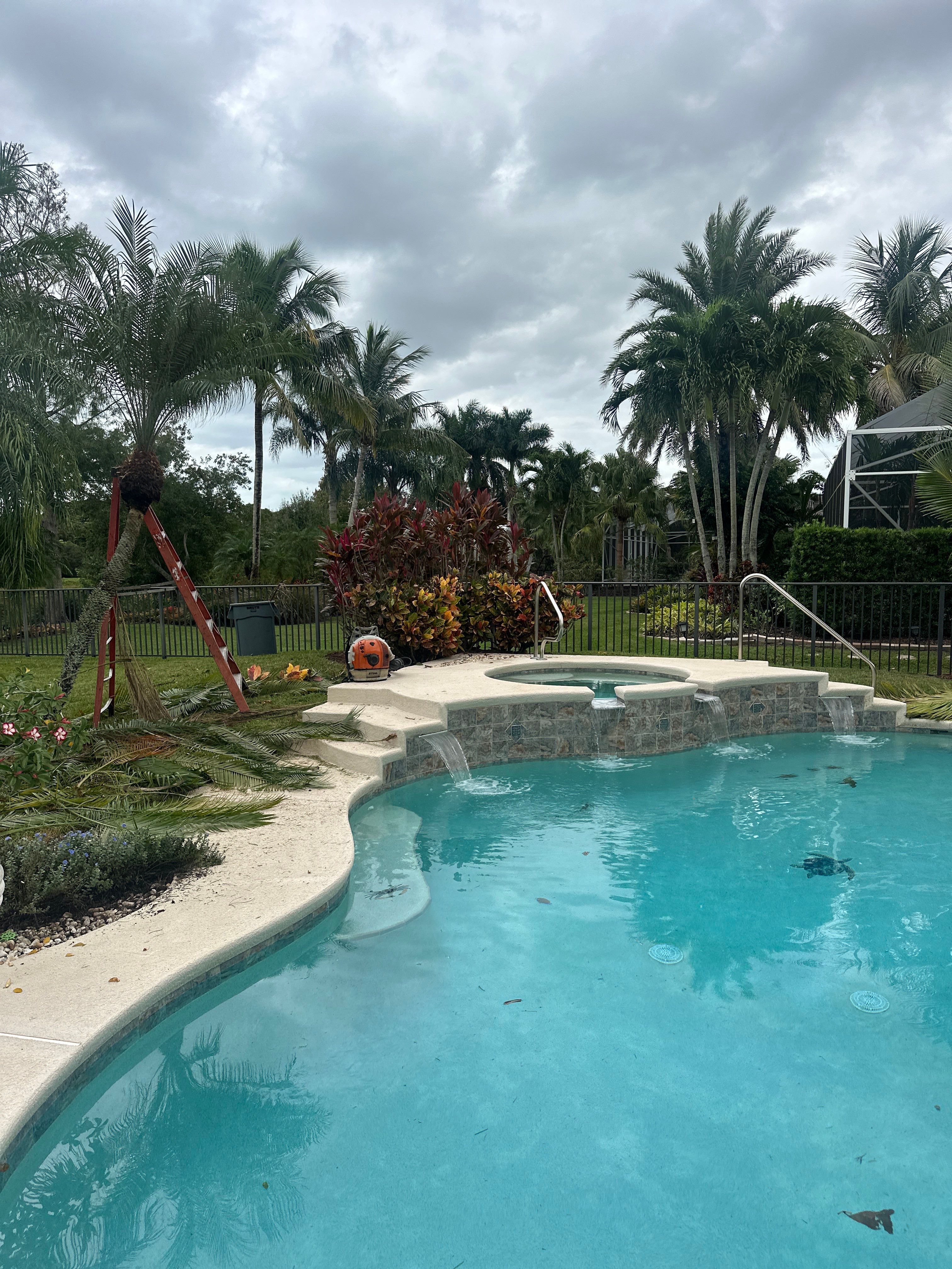 🌴✨ HAMMOCK CREEK SIGNATURE CLEANUP — THE ALPHA ZETA WAY ✨🌴 by Alpha Zeta Enterprises Inc