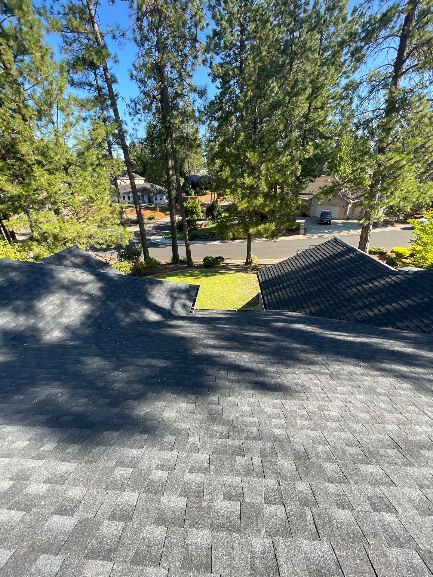 Paradise Shingle by Butte Roofing Company License #567600