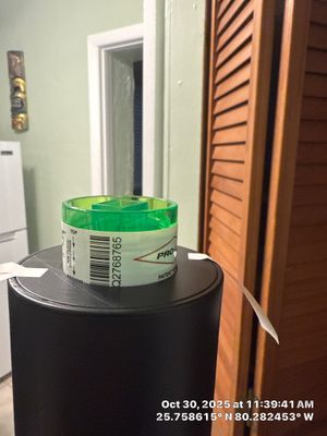 mold remediation