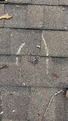 Turtle Shell gutter protection installation in Naperville, IL 60563, photograph 18