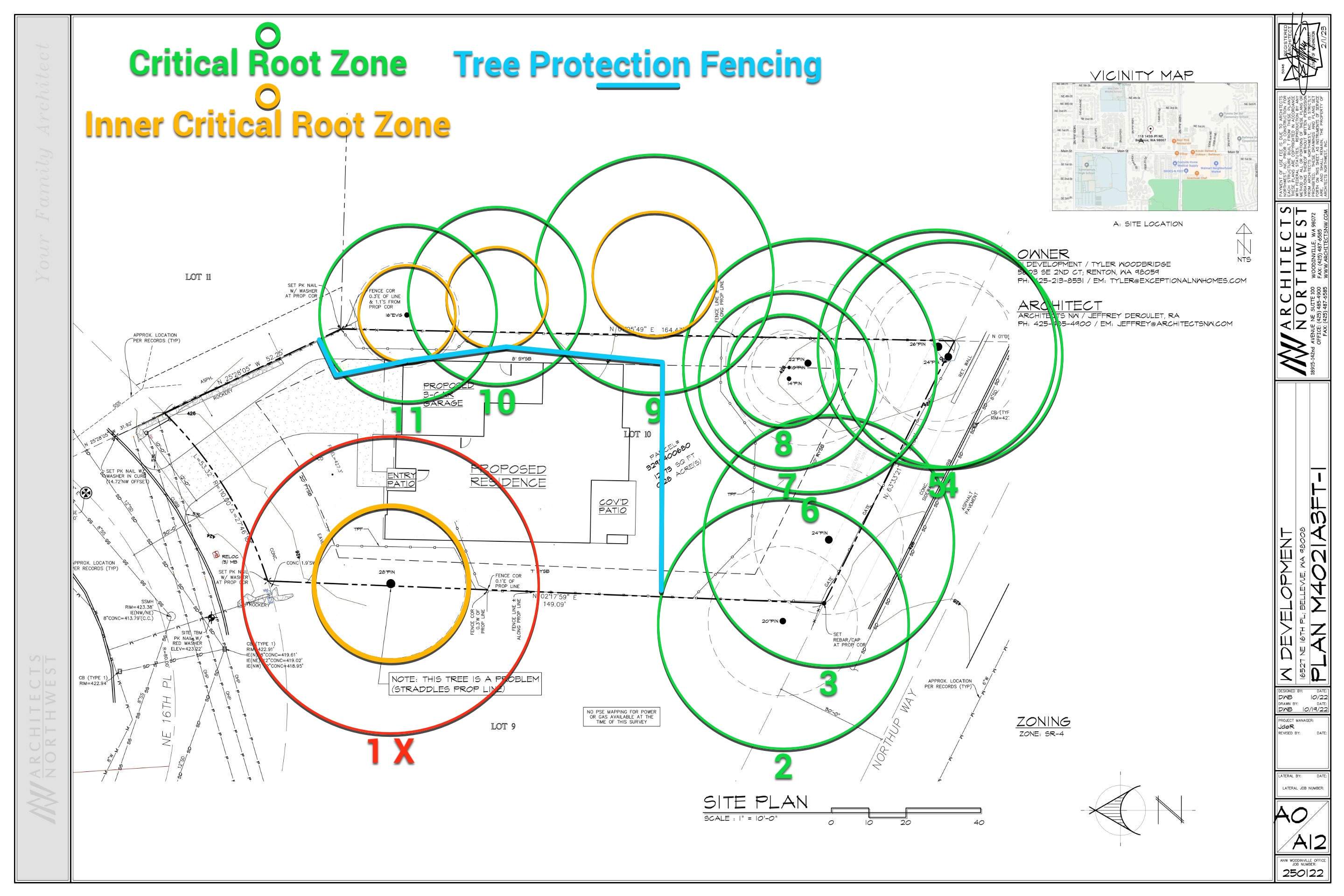 Arborist Report for Tree Protection Fencing and Root Zone Planning in Bellevue