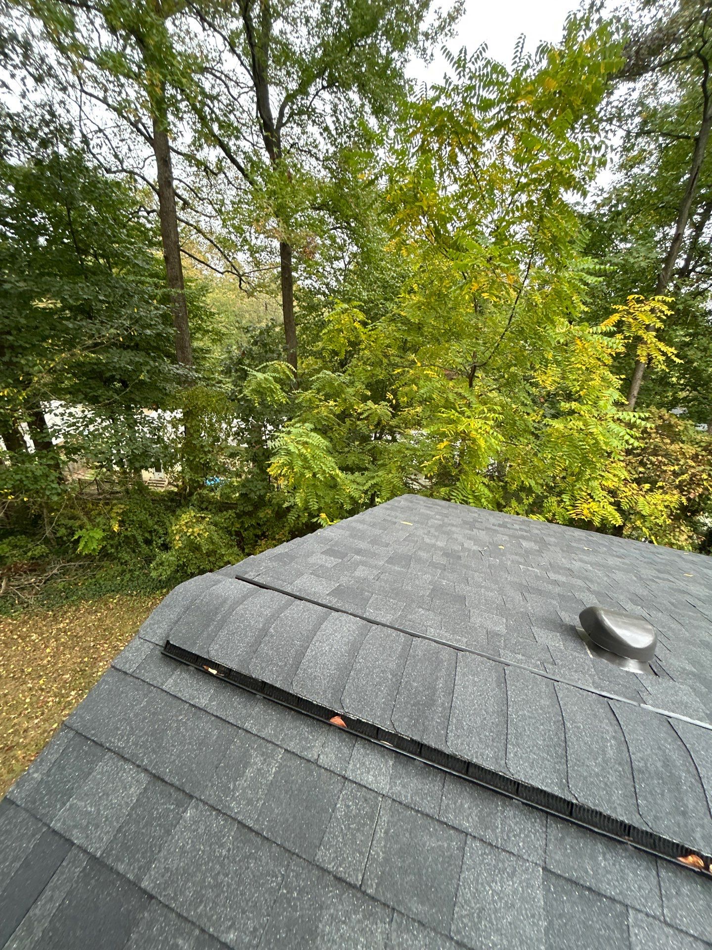 Burke : Residential Roof Replacement with CertainTeed Landmark Pro in Max Def Charcoal Black  by RM Banning, Inc.