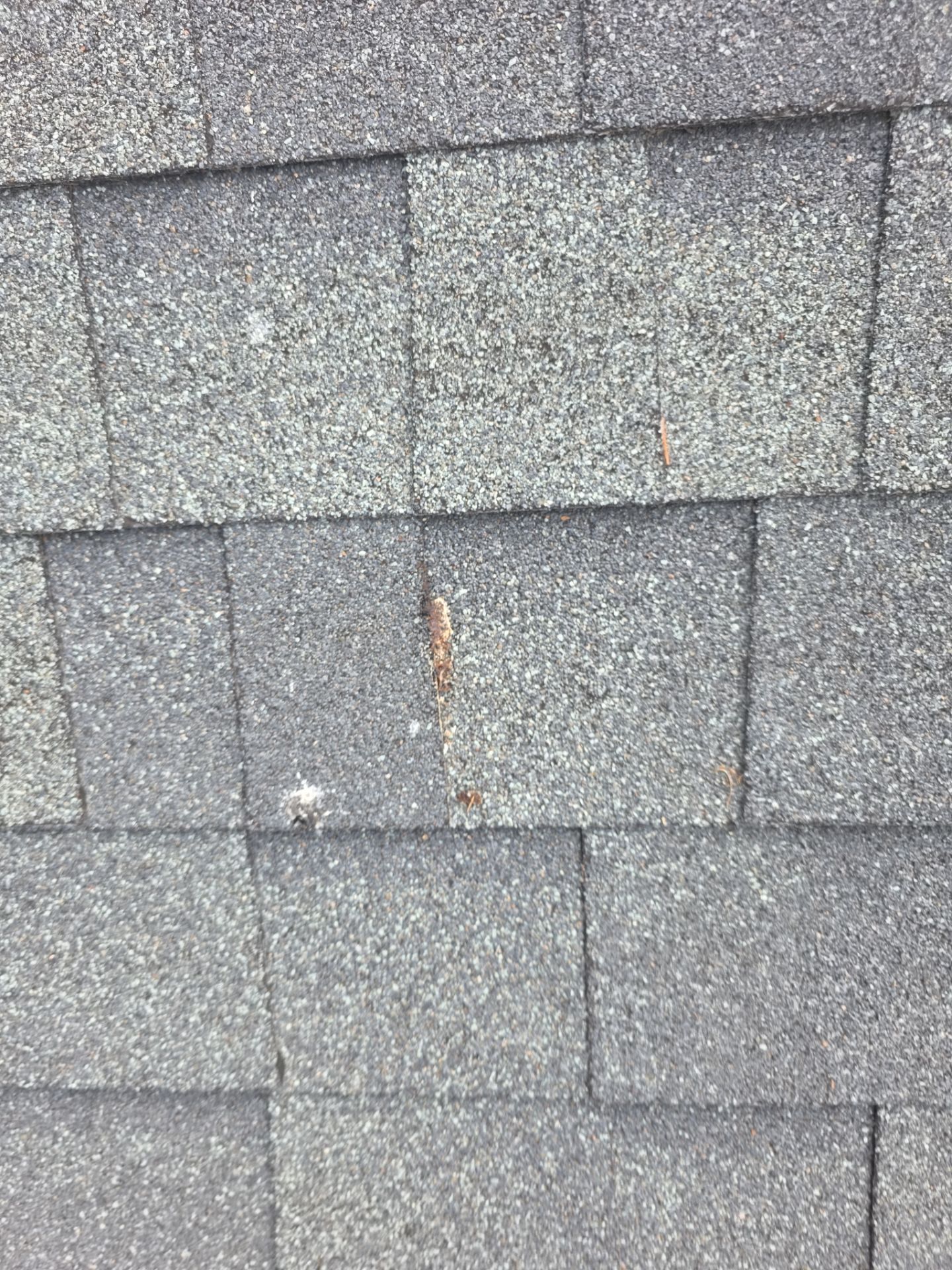 Roof Rejuvenation using Roof Maxx Treatment by Roof Maxx of Folsom