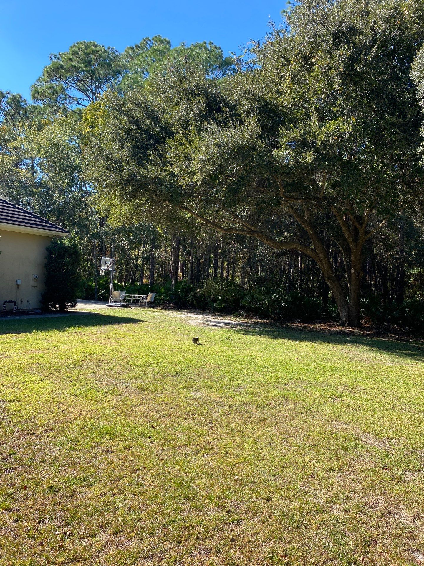 Deerwood Residence | Tree Work by ProGreen Services