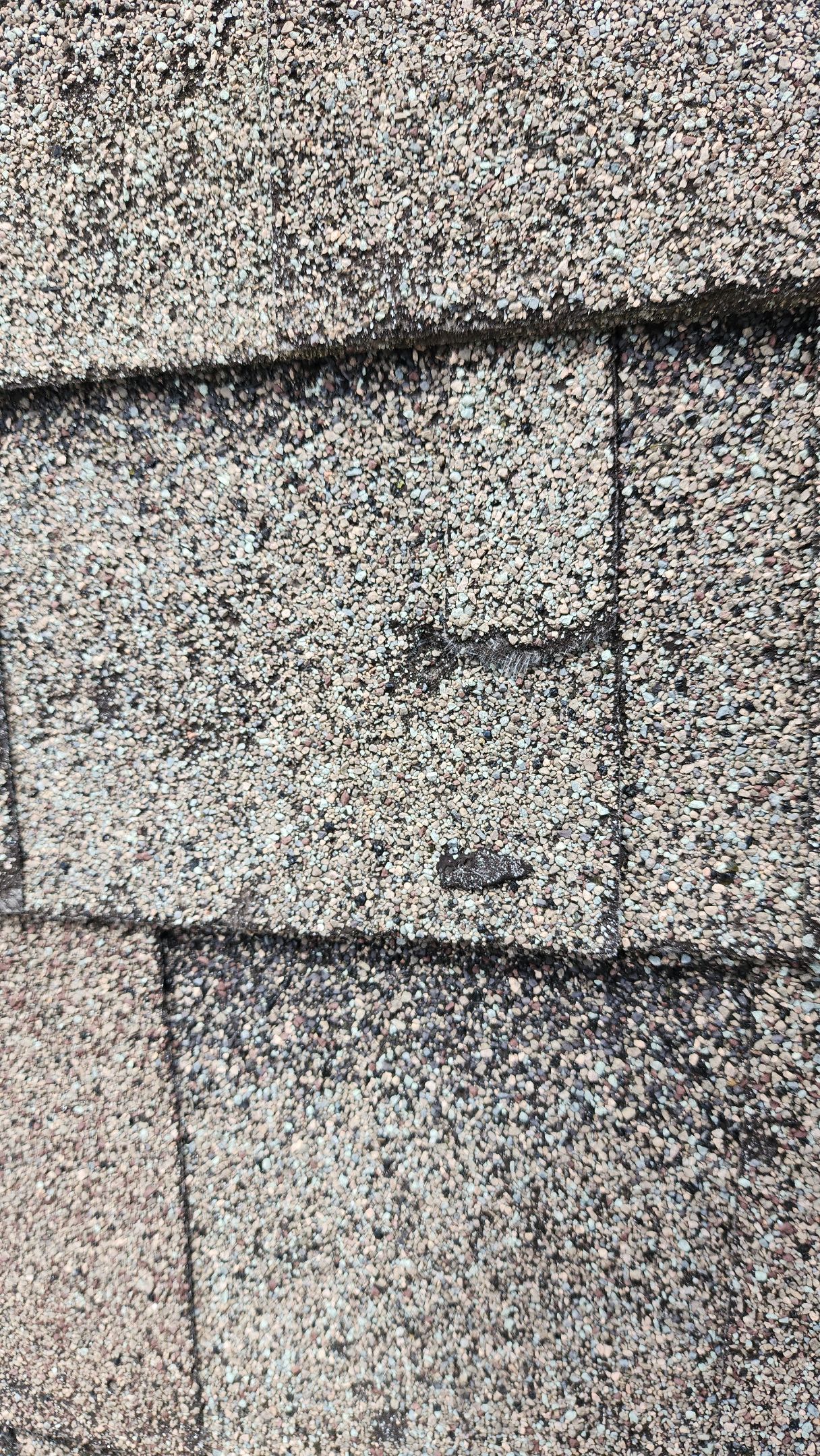 Storm Restoration Reroof: 40 Year Impact Rated Architectural Shingles by Hostetler Roofing