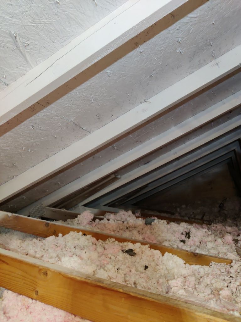 Mold Remediation in Attic by Accountable Home Services