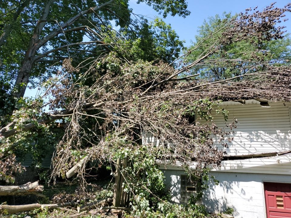 Storm Damaged Tree Removal  by Mike Jones & Sons Tree Service LLC 