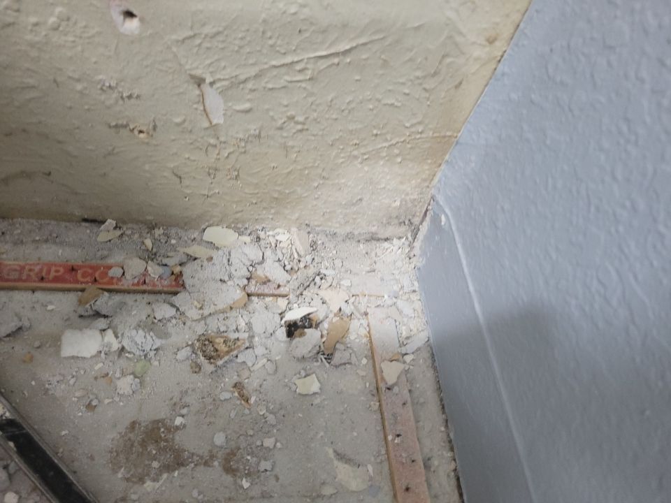 Water Damage and Mold Remediation by Accountable Home Services