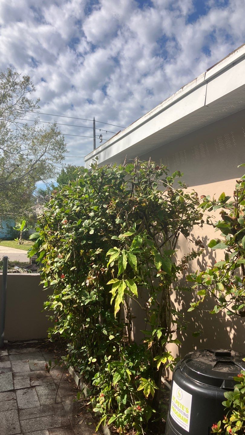 Project in St Pete 33712 by Mitchell Roofing Company LLC 