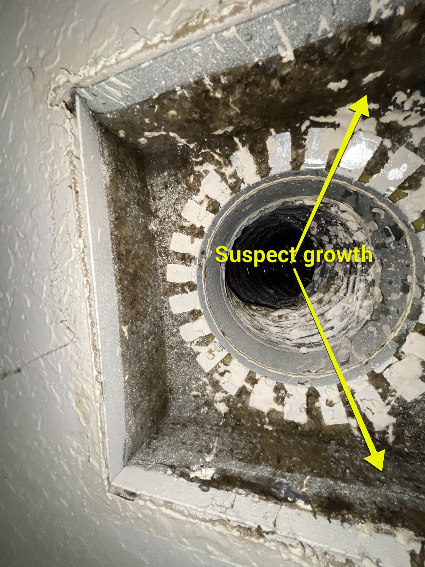Air Duct Cleaning in Leesburg by Hygienic Air, Inc