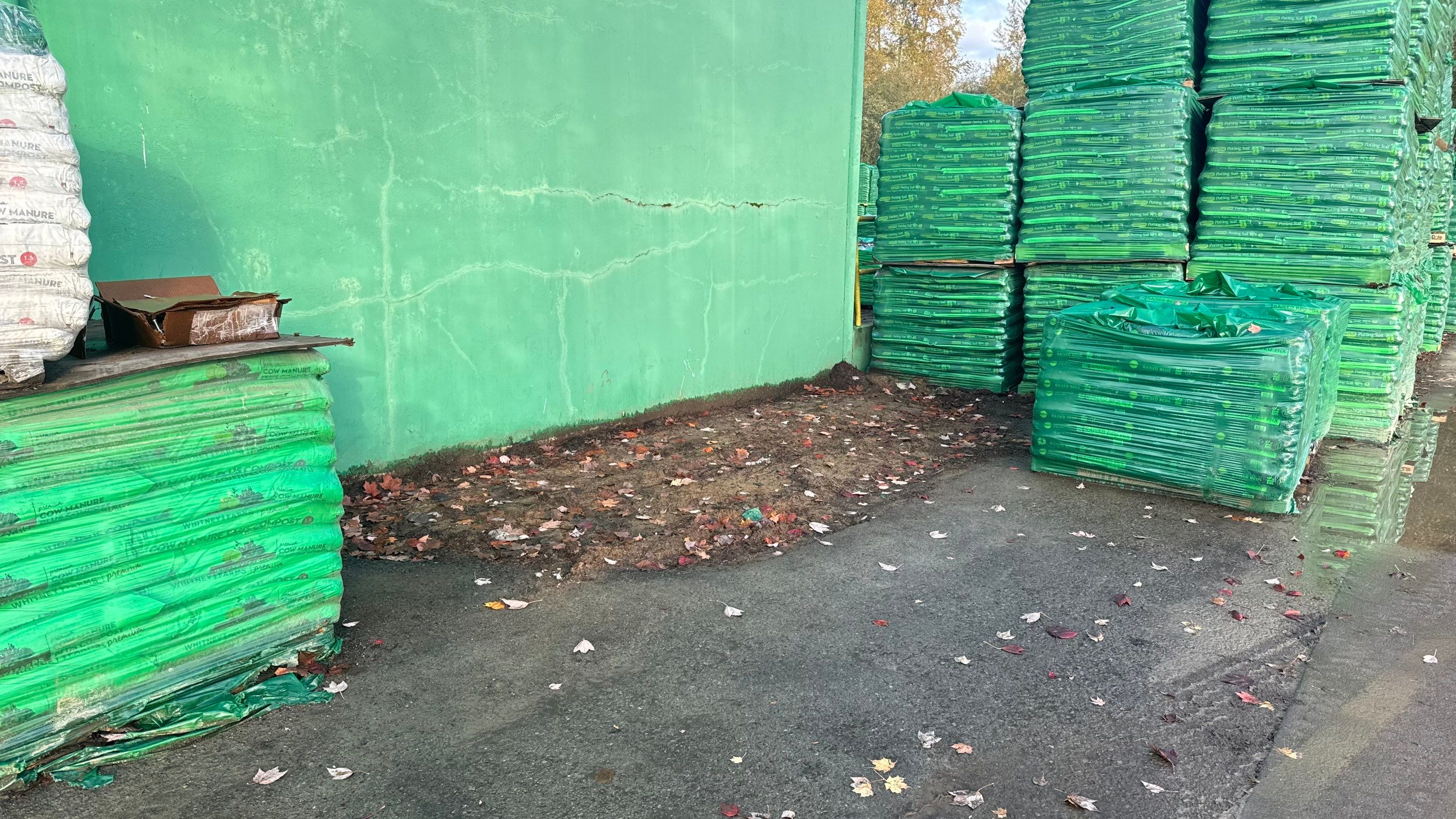 Scott's Miracle Grow | Asphalt Driveway Repair  by Jireh Asphalt & Concrete Inc 
