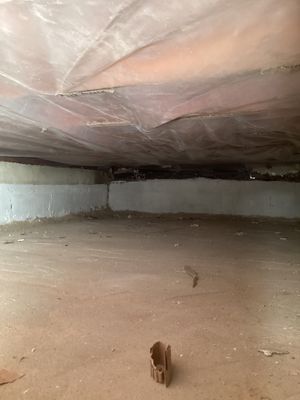 Crawlspace cleaning