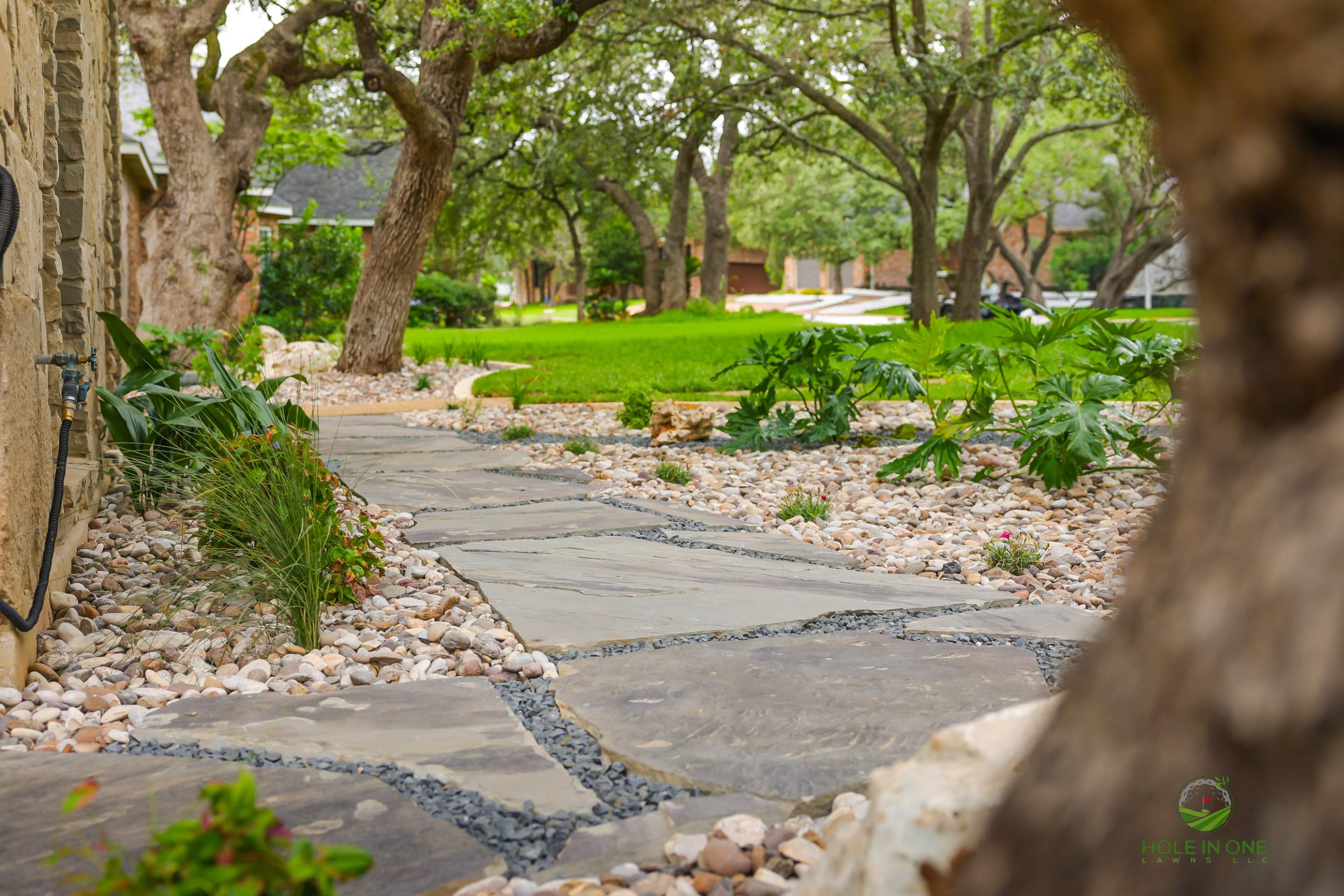 Vista Del Norte, San Antonio TX by Hole In One Lawns, LLC