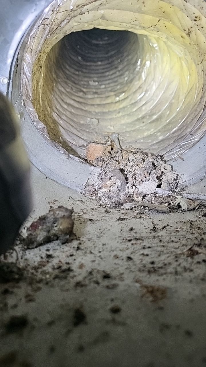 HVAC Mold Remediation & Indoor Air Restoration in Bethany Beach, DE by Healthy Home Solutions