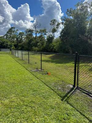 Chain Link in Punta Gorda