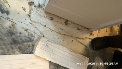 Sewage Backup Cleanup — Marco Island, FL
