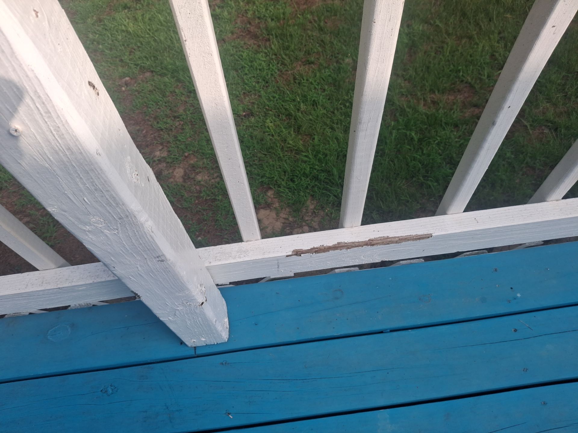 Vibrant Deck Gets New Life in Flint Texas by Quality Coats Painting