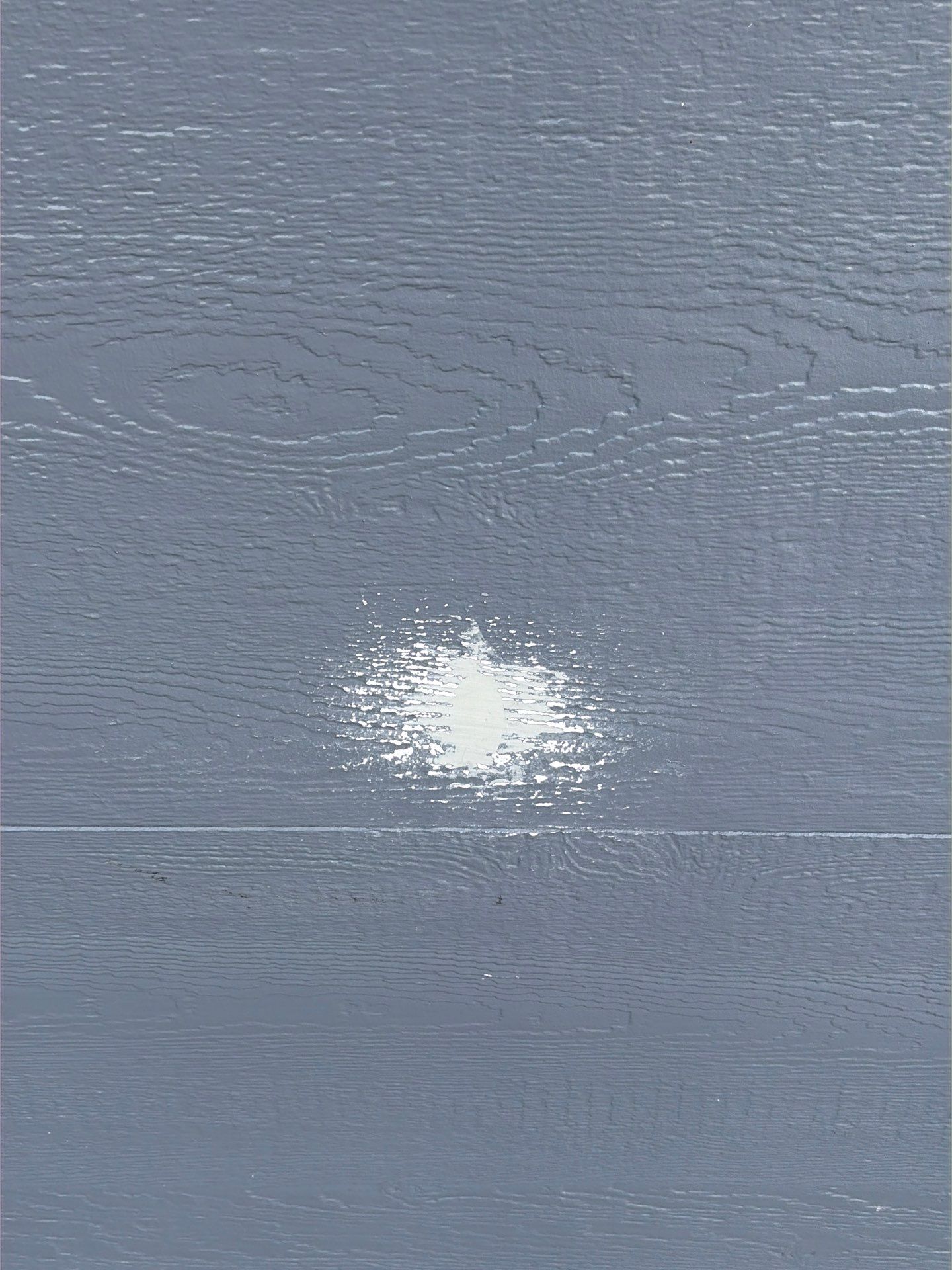 Panther Roof featured photo.