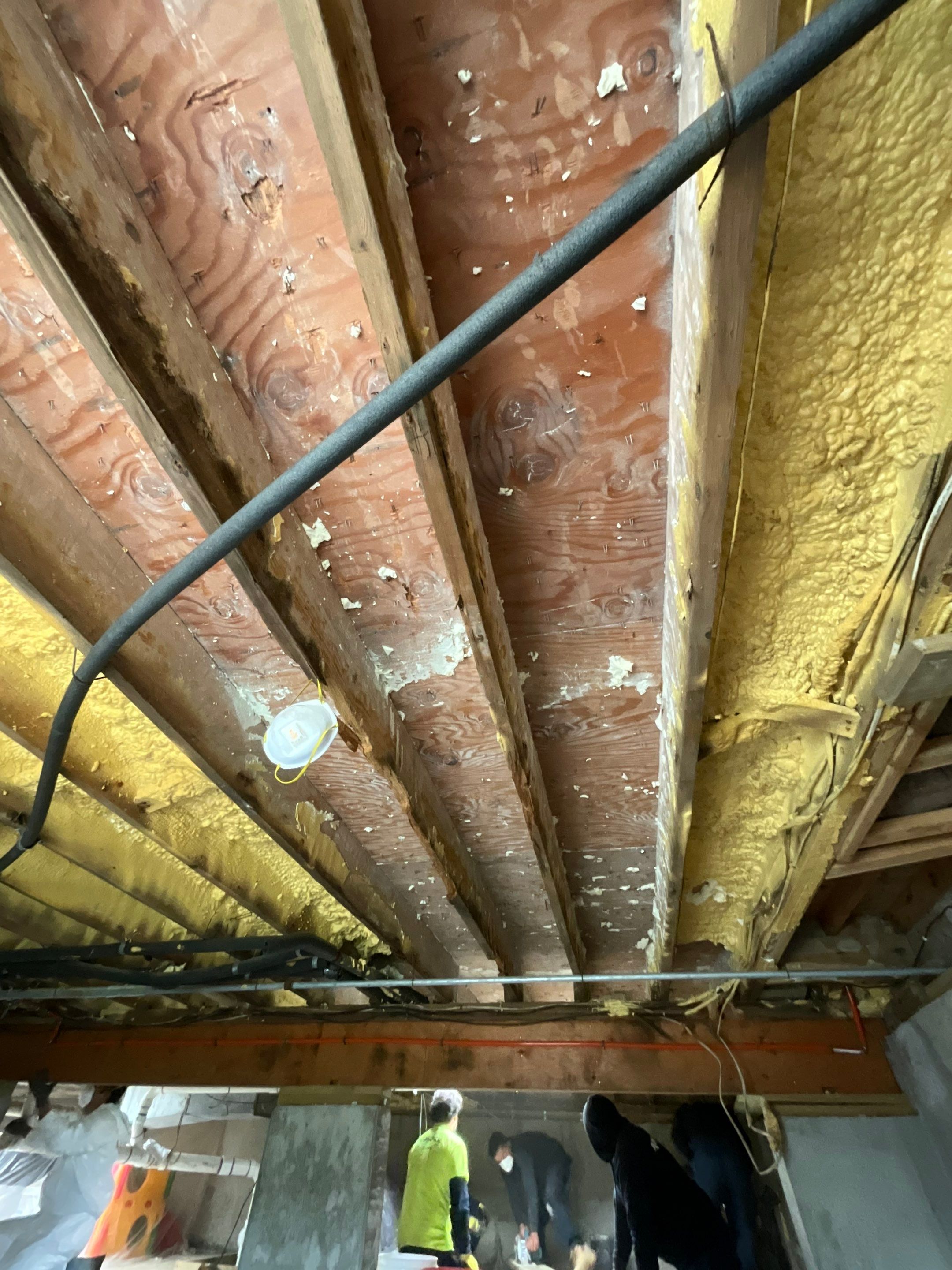 Structural Repair and Sistering of Floor Joists by A.M. Shield Waterproofing, Corp.