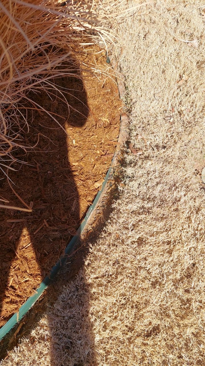 Concrete Slab , Retaining Wall , Fence, and landscape. by Clays Services Inc