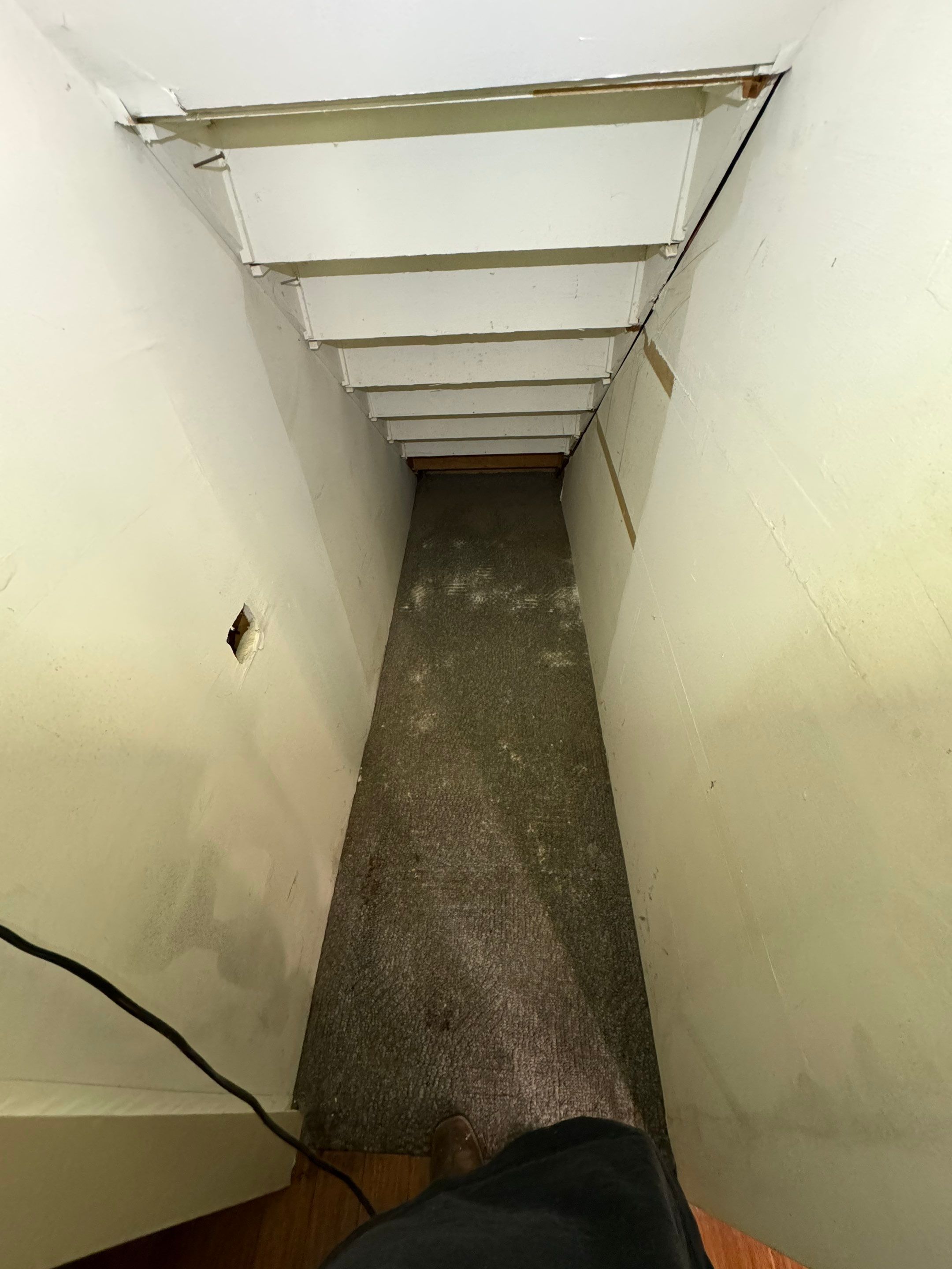 Entire Home Remediation by Home Guarantee, LLC