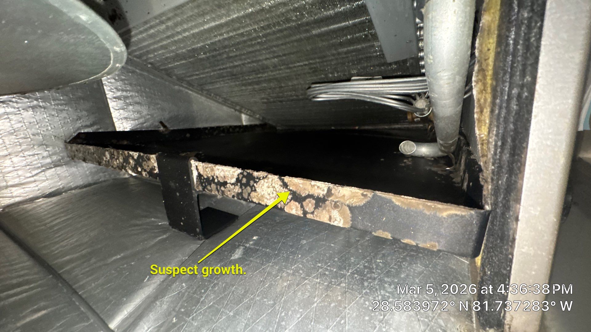 Air Duct Cleaning in Minneola by Hygienic Air, Inc