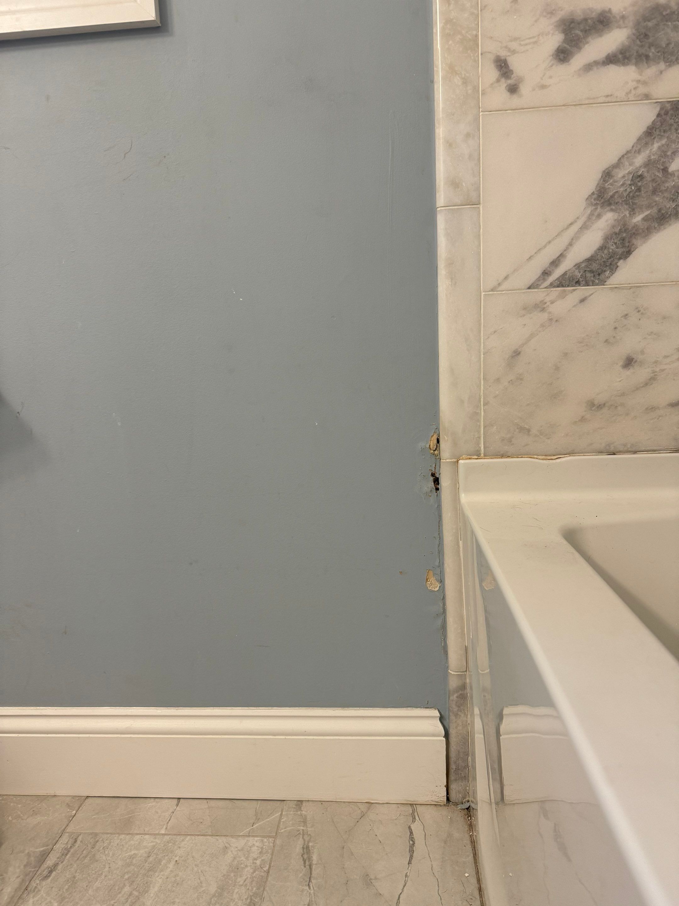 Bathroom Mold Remediation by Home Guarantee, LLC