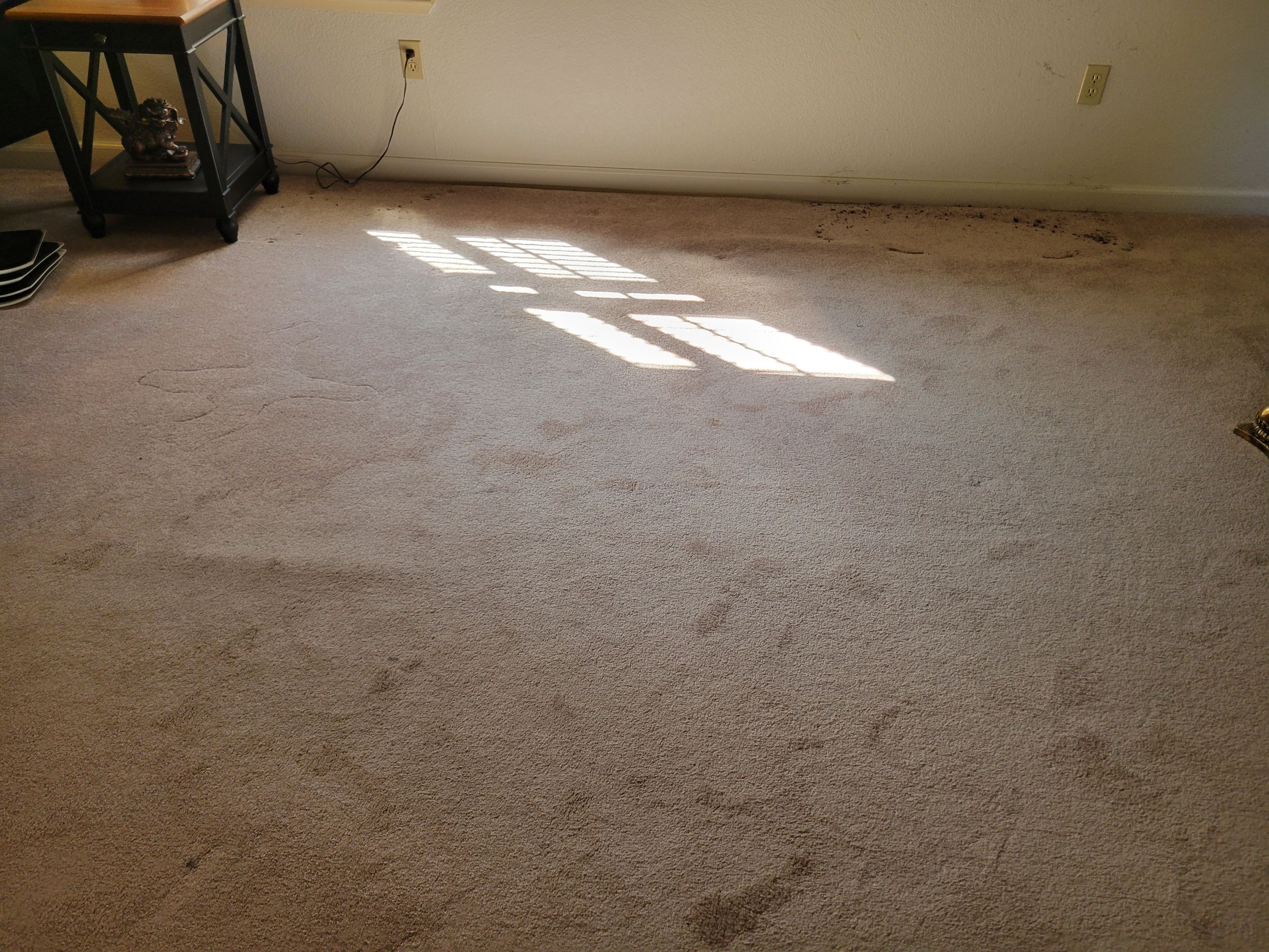 Woodland Carpet Re-stretch and Cleaning by Ardent Carpet Restore LLC