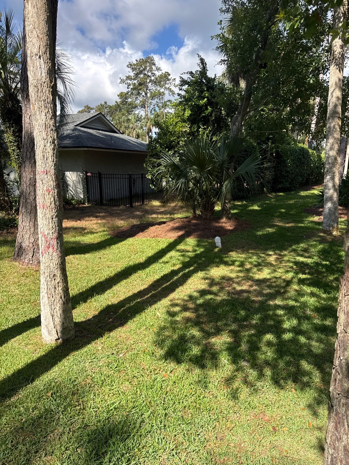 Residential | Pine Straw Install by ProGreen Services