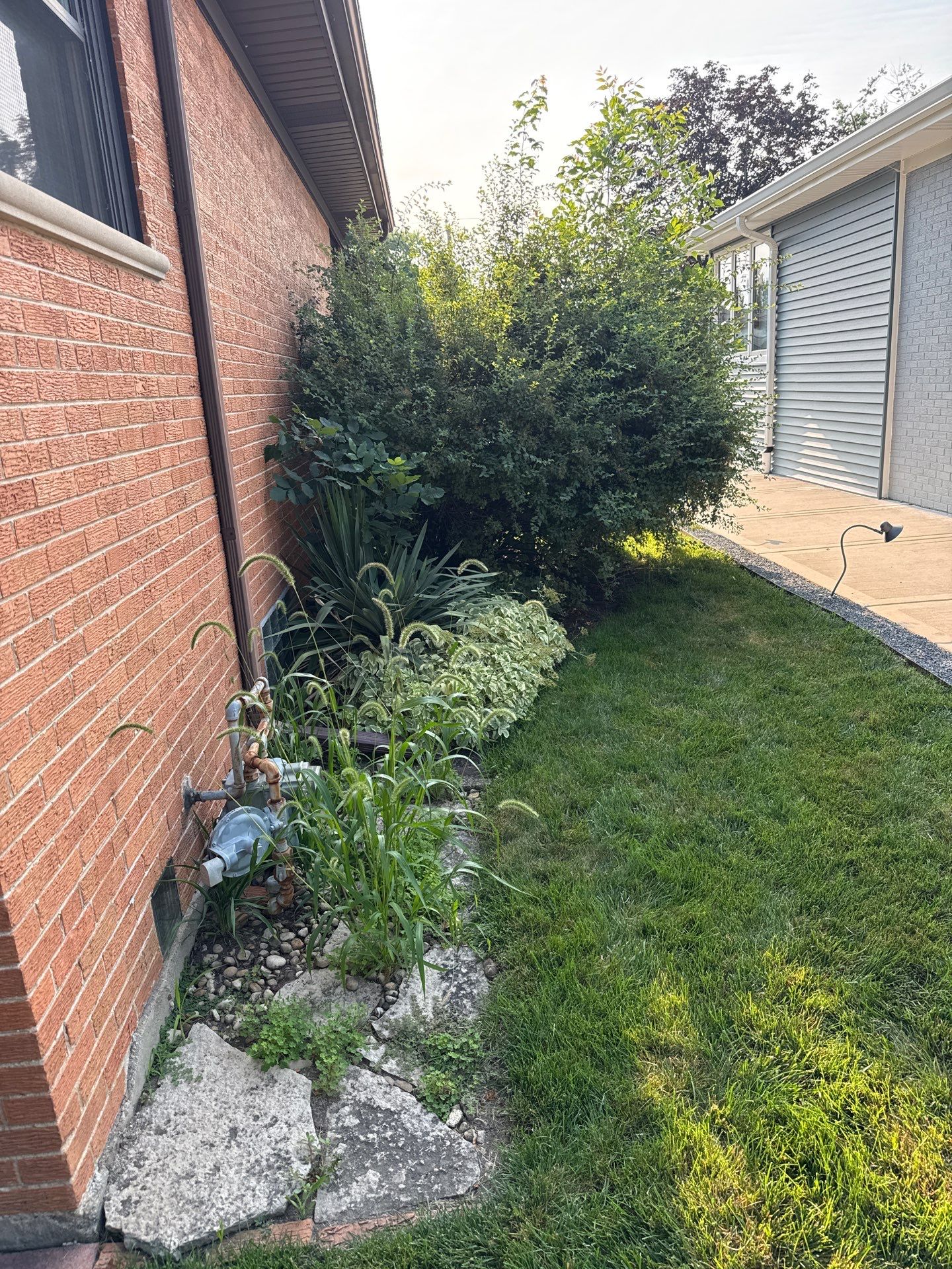 Robert B. - Arlington Heights, IL by A&N