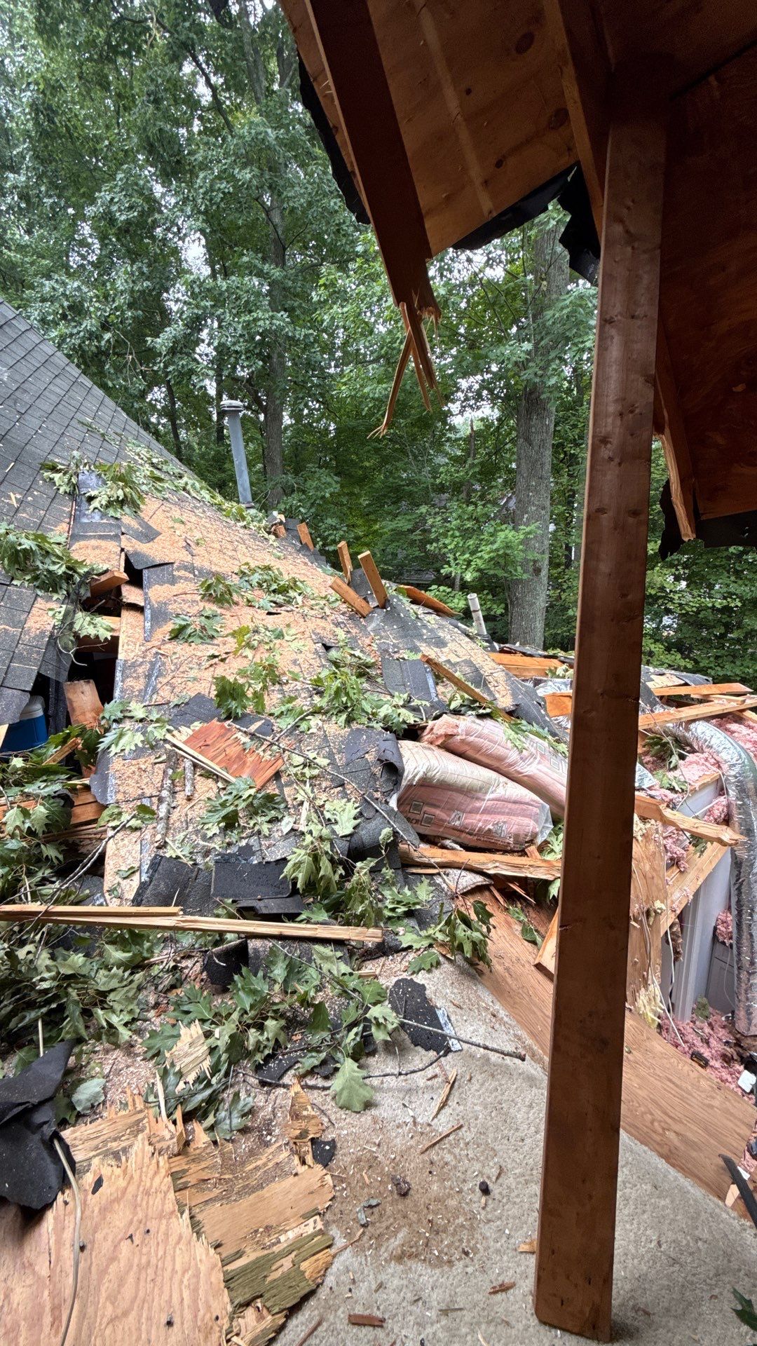 Storm Damage Mitigation and Structural Drying After Tree Impact in Raleigh by One Team Restoration