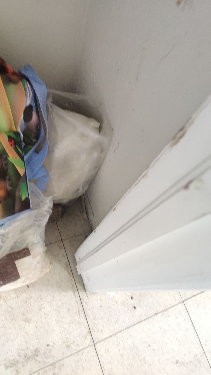 Mold Remediation by Accountable Home Services